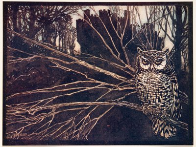 ? eller en skriande uggla.., från Sagorna om bröderna Grimm, pub. 1909 av Arthur Rackham