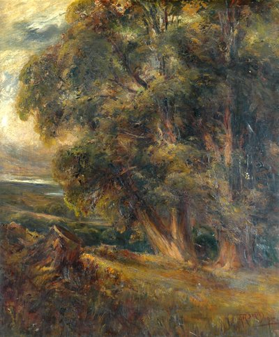Trädstudie av Arthur Reginald Smith