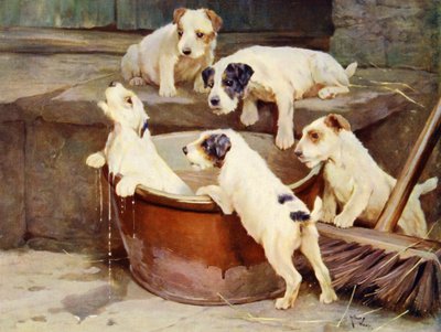 The Order of the Bath - valptvätt av Arthur Twidle