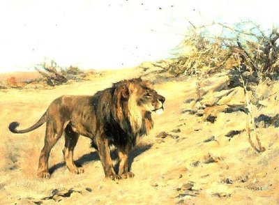Ett lejon bland scrub av Arthur Wardle