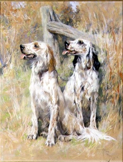 Engelska Setters av en Stile av Arthur Wardle