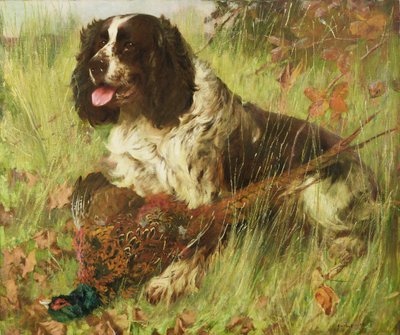 Springer Spaniel med fasan av Arthur Wardle