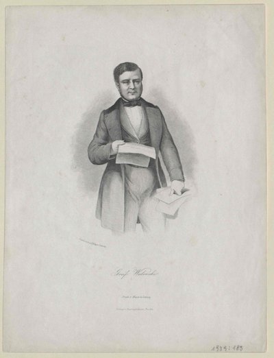 Alexandre Comte Walewski av Artist Unknown