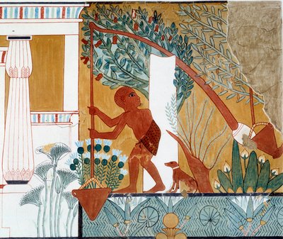 Konst Egypten: en shadouf vid brunnen. Fac simile reproducerad från d