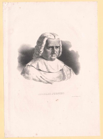 Bernard de Jussieu av Artist Unknown