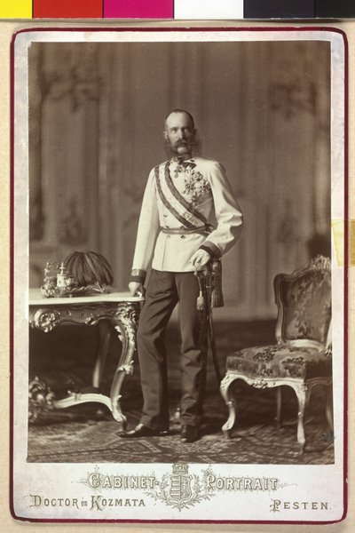 Franz Joseph I av Artist Unknown