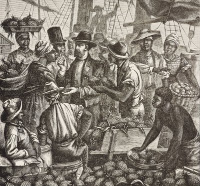Englands historia (C19th). Kolonisering (1880). Bahama säljer ananas. Engelsk koloni på New Providence Island. Ananas var en av de viktigaste exportprodukterna från hamnen i Nassau. Gravyr. Privat samling av Artist Unknown