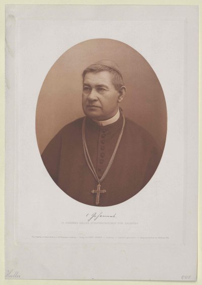 Johannes Haller (tryck) av Artist Unknown
