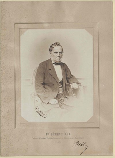 Joseph Dietl av Artist Unknown