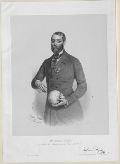 Joseph Hyrtl av Artist Unknown