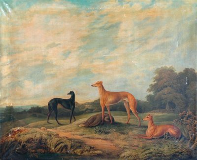 Landskap, fyra vinthundar i förgrunden (olja på duk) av Artist Unknown