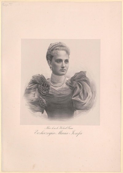 Prinsessan av Sachsen Maria Josefa av Artist Unknown