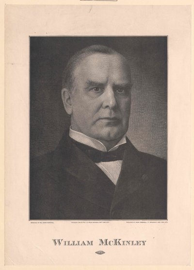 Wilhelm MacKinley av Artist Unknown
