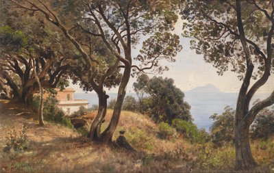 Ascan Lutteroth vy från söder 1889 av Ascan Lutteroth