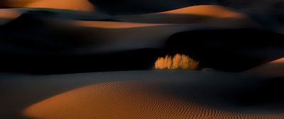 Öknens sanddyner i den gyllene timmen av Asef Azimaie