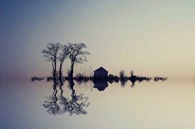 Lugnt vatten och dess spegelbild av Asef Azimaie