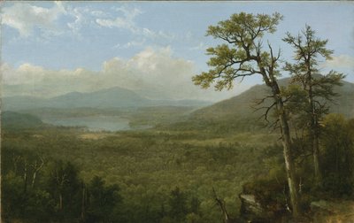Adirondack Mountains, N.Y., 1870 av Asher Brown Durand