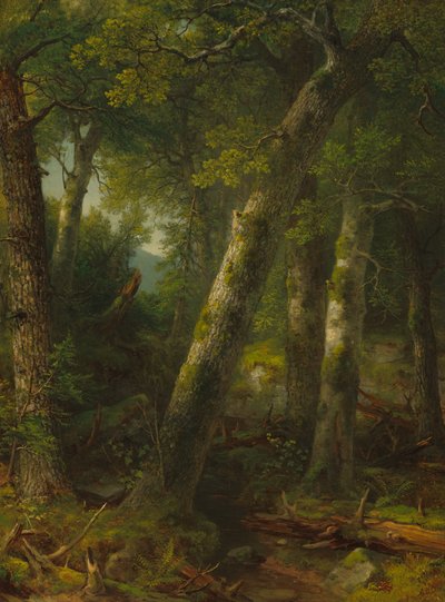 Skog i morgonljuset, ca. 1855. av Asher Brown Durand