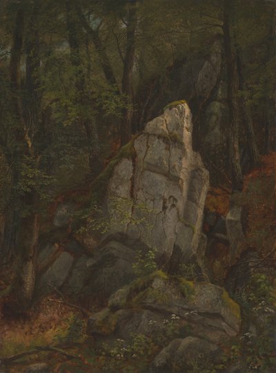 Studie av stenar i Pearsons Ravine av Asher Brown Durand