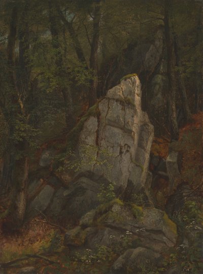 Studie av klippor i Pearsons ravin, mitten av 1850-talet. av Asher Brown Durand