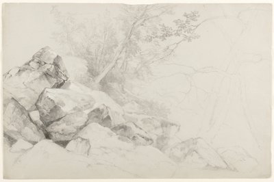 Studie av stenar med träd, Haag, Lake George, New York, 1862 (grafit på grått papper) av Asher Brown Durand