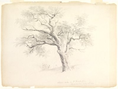 Chestnut Oak on the Hosack Estate, Hyde Park, New York med fem figurer och en skissande konstnär, 1838 (grafit på papper) av Asher Brown Durand