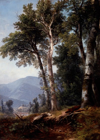 Skogslandskap av Asher Brown Durand