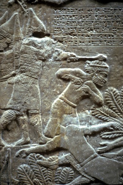 Ashurbanipal vid slaget vid Til-Tuba, 650-620 f.Kr av Assyrian