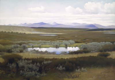 Landskap, Rondane av Asta Nørregaard