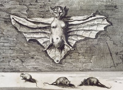 Flygande katt, 1667 av Athanasius Kircher