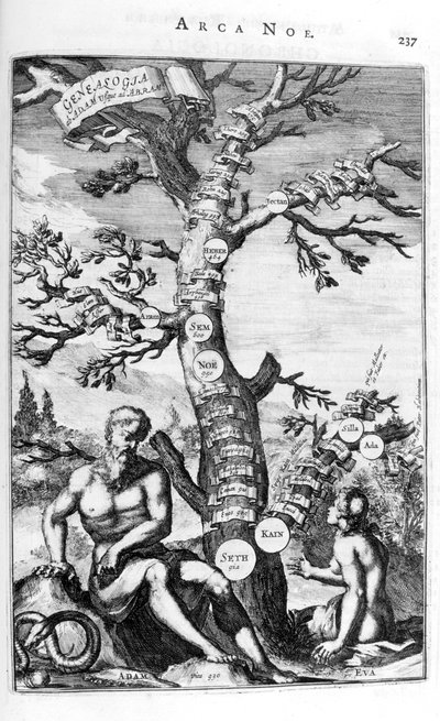 Adams släktträd, 1675. av Athanasius Kircher