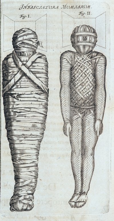 Mumier - i "" Sphynx mystagoga"" av Athanase Kircher av Athanasius Kircher