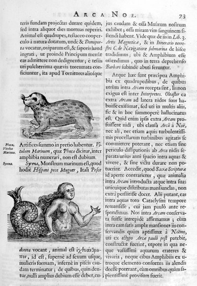 Mytiska varelser, 1675. av Athanasius Kircher