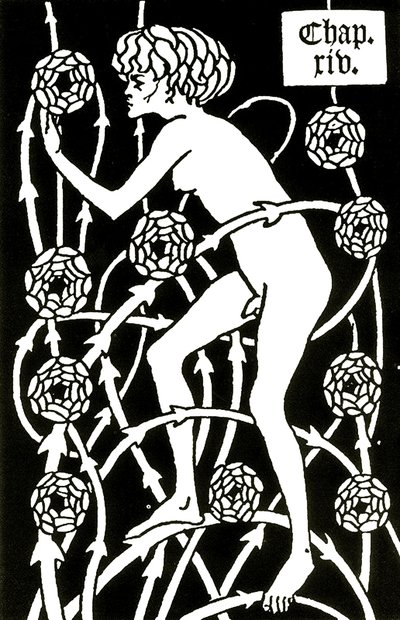 hermafrodit bland rosorna från Le morte d