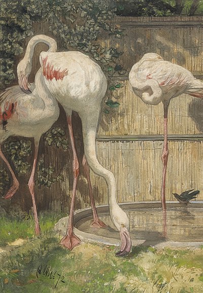 Tre flamingos vid en vattenpöl. 1872 av August Allebe