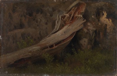 Studie av en ruttnande stam av August Cappelen