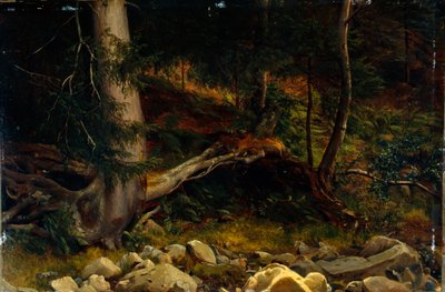 Studie av skogsmark (målning) av August Cappelen
