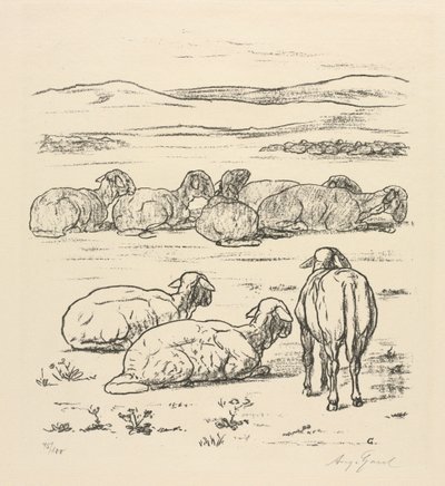 Får av August Gaul