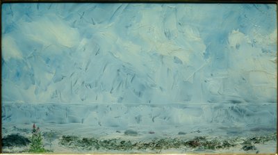 Blommor på stranden av August Johan Strindberg