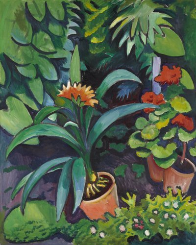 Blommor i trädgården, clivia och pelargonium av August Macke