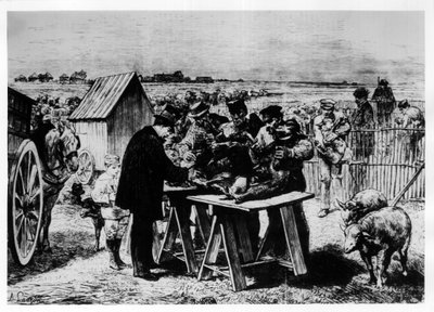 Vaccination av får av Pasteur, gravyr av A. Lançon. av Auguste Andre Lancon