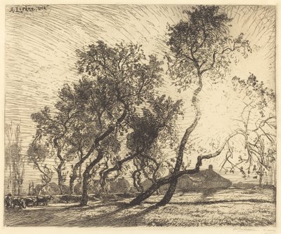 Holland Poplar Farm av Auguste Lepere