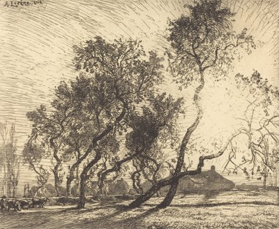 Den holländska poppelfarmen, 1914. av Auguste Lepere