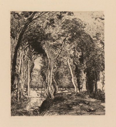 Auguste Lepère: Undervegetation, vid Rigonette Vendèe. av Auguste Louis Lepère