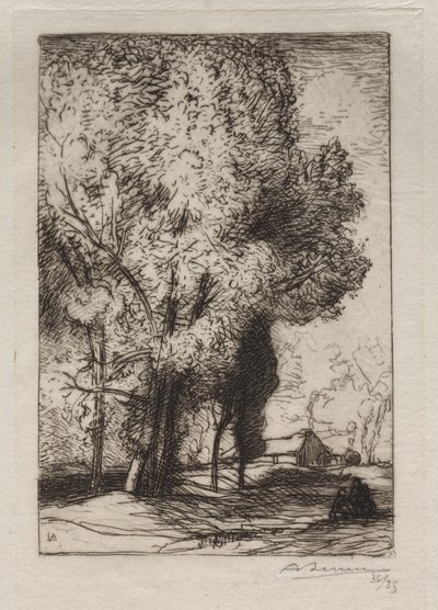 Bourrine i poplarna av Auguste Louis Lepère