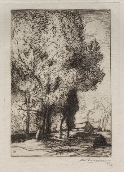Bourrine in the Poplars, 1911. av Auguste Louis Lepère