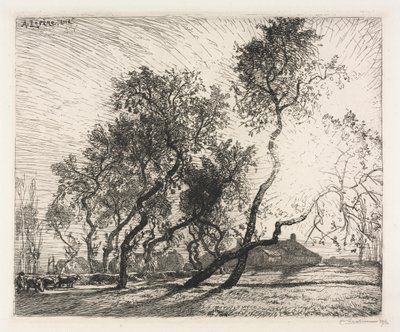 Gård med Poplar Trees of Holland av Auguste Louis Lepère