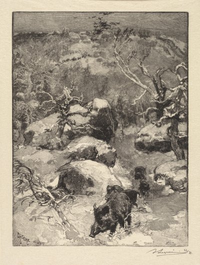 Fontainebleau-skogen: Cuvier-Châtillon-klippan av Auguste Louis Lepère