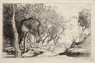 Det vridna trädet, 1915. av Auguste Louis Lepère