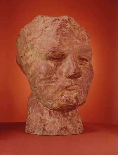 Chef för Iris, 1890 (brons) av Auguste Rodin